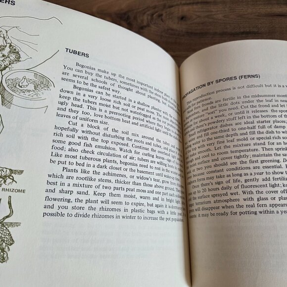 House Plants  for the Purple Thumb by Maggie Baylis book,1973 - Picture 9 of 10